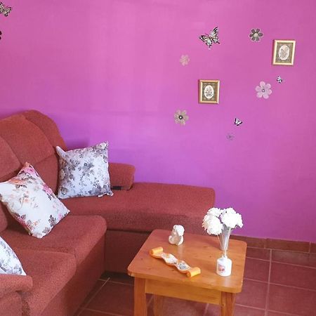 Pequeno Estudio Appartement Granadilla De Abona Buitenkant foto
